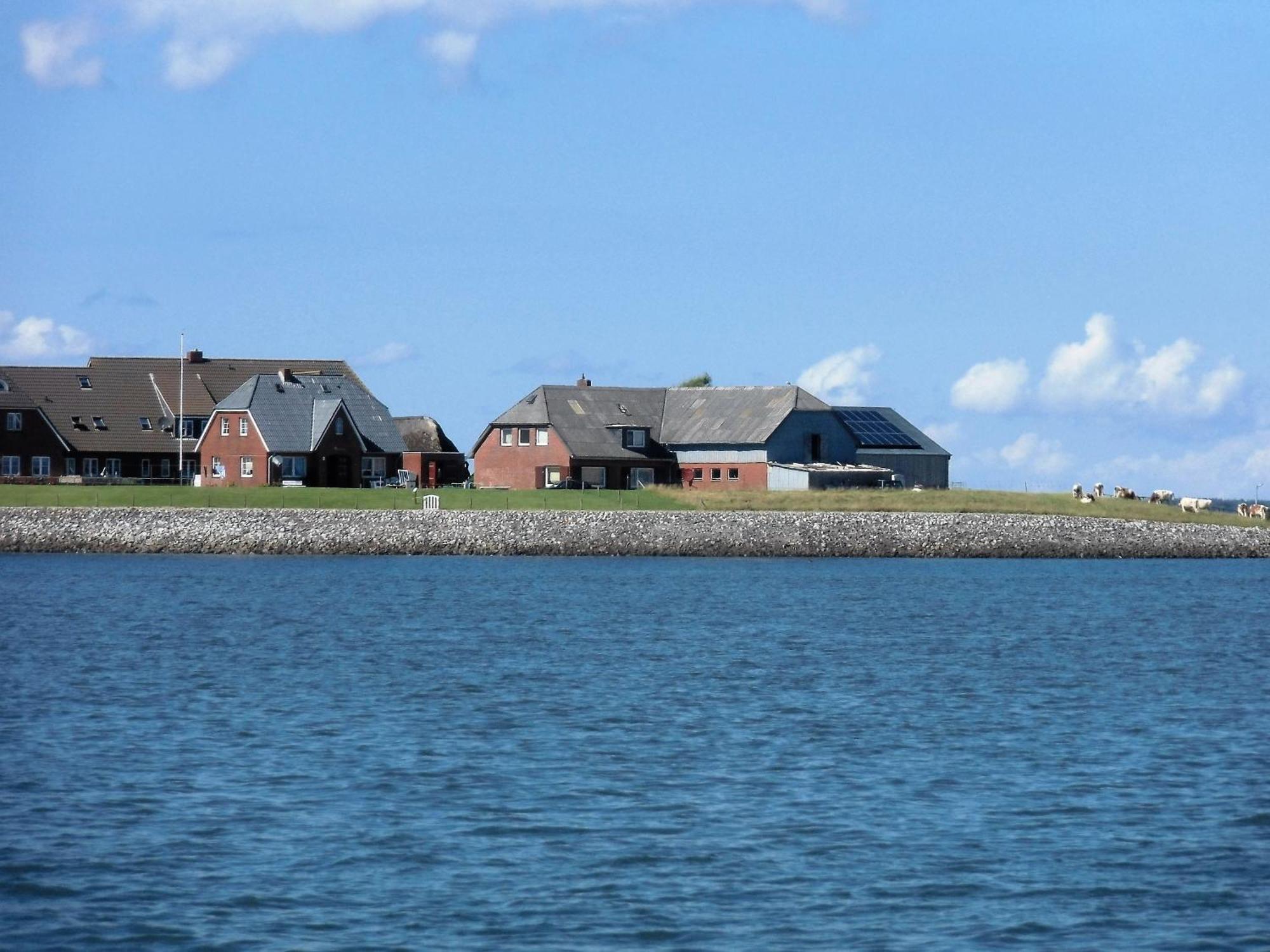 Haus Halligblick, Ferienwohnungen Am Wattenmeer, Whg Hamburger Hallig Dagebüll Exterior foto